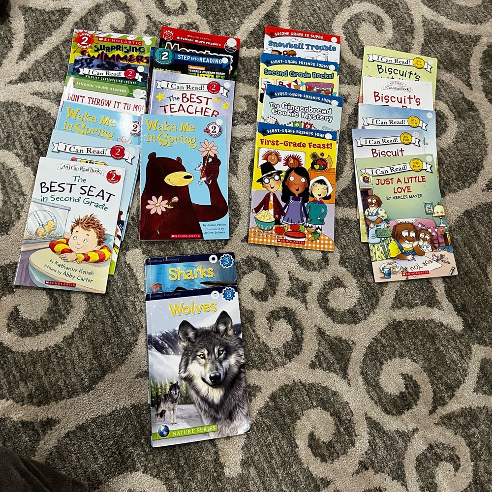 Reading level books (21